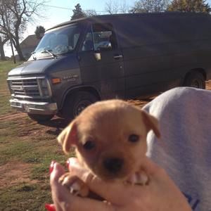 Meet your Posher, Gail